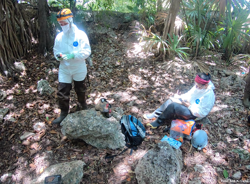 Cueva de los murciélagos Unicaribe  (1).png