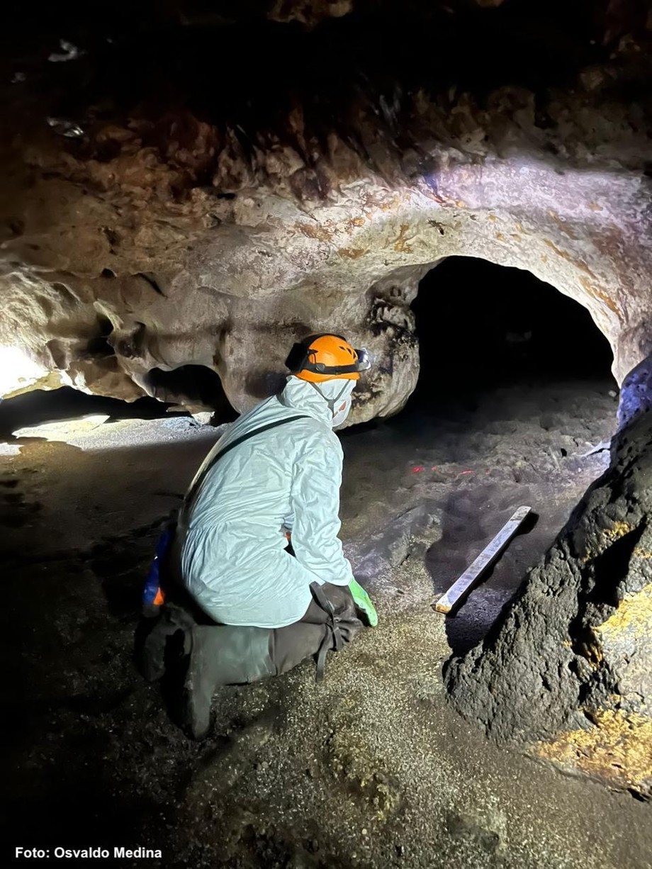 Especialistas en cuevas de EU, exploran la “Cueva de los murciélagos” de la Unicaribe