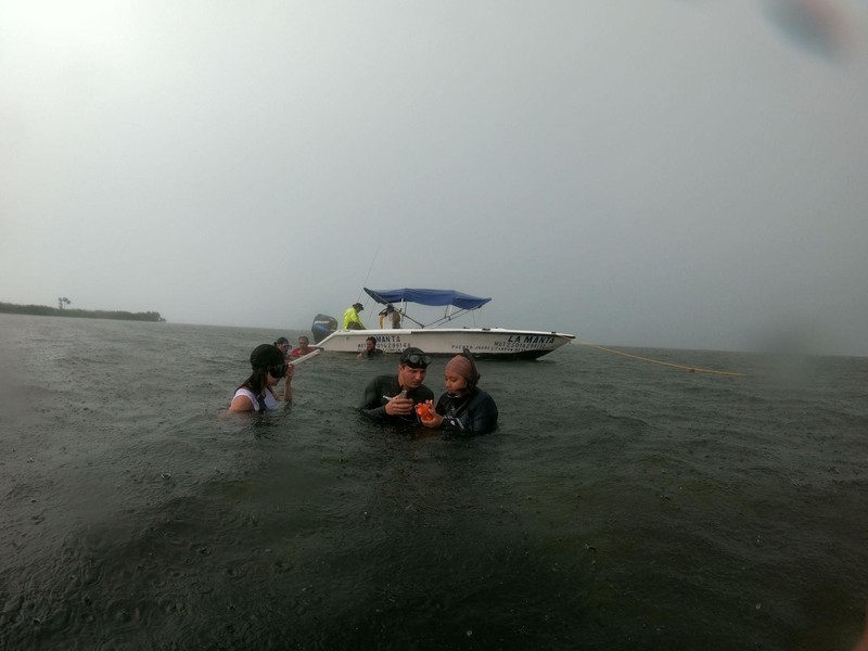 los tres en el agua con ctd.jpg