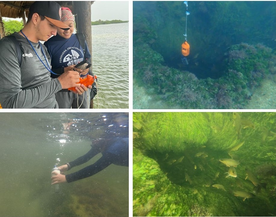 Estudiantes de Unicaribe realizan campaña oceanográfica