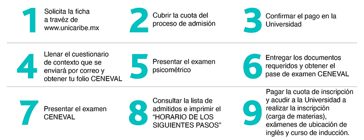 Proceso de Selección