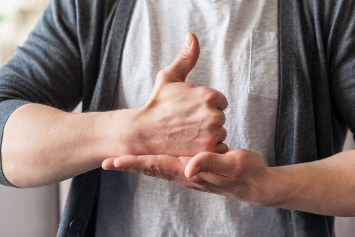 Lengua de Señas Mexicana