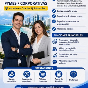 Ejecutivo de Ventas MiPyMes