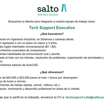 Tech Support Executive