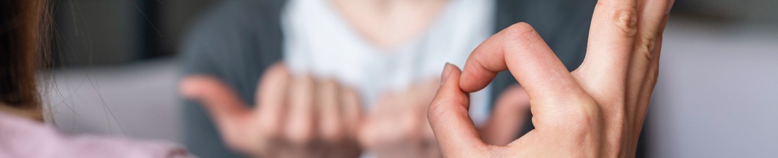 LENGUA A SEÑAS MEXICANA, NIVEL 2