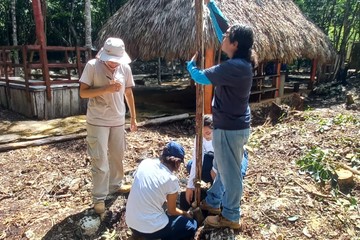 Estudiantes de la Unicaribe comparten conocimientos con cooperativa de Pacchen