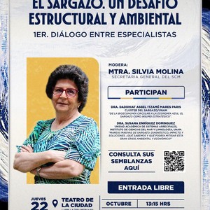 Diálogo: "El sargazo. Un desafío estructural y ambiental"