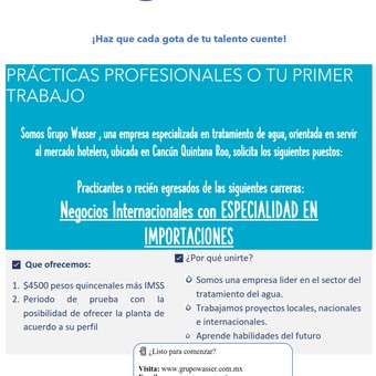 Asistente de importaciones