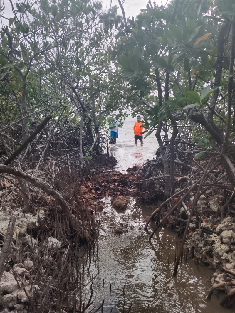 WhatsApp Image 2025-08-10 at 17.18.28