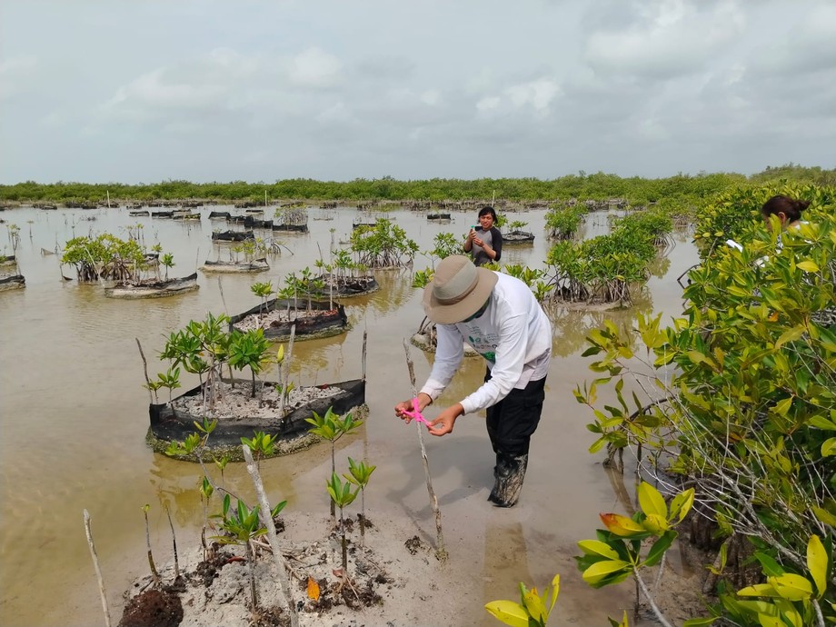 WhatsApp Image 2025-08-10 at 17.18.33 (1)