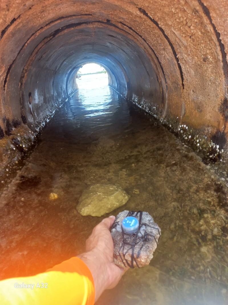 WhatsApp Image 2025-08-10 at 18.49.48 (1)