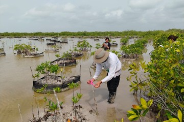 Estudiantes de la Unicaribe se suman a la conservación de la Biósfera de Sian Ka’an