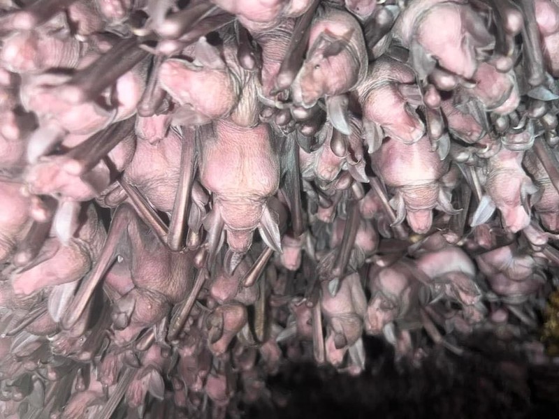 WhatsApp Image 2026-02-24 at 12.25.33 PM