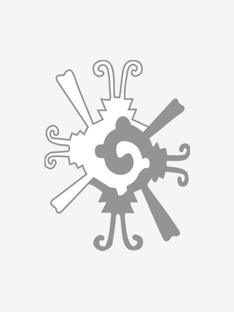 Dr. Ramón Eduardo Ronzón