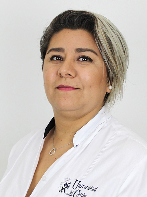 Mtra. Elena Gamarra Hernández