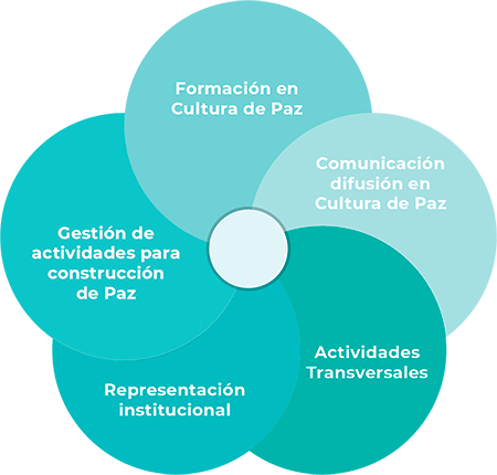 Programas y Ejes de Acción