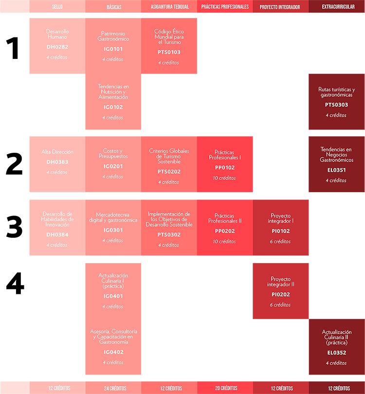 Mapa curricular MIG